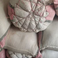 شبدر چین اول پاک