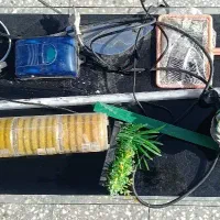 آکواریوم پمپ|ماهی|زرند, |دیوار