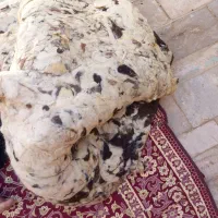 پشم شسته شده گوسفندی|رختخواب، بالش، پتو|گاریزات, |دیوار