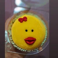 آموزش اصولی موچی ژاپنی