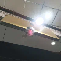 2 عدد تابلو روان بفروش میرسد|فروشگاه و مغازه|قم, نیروگاه|دیوار