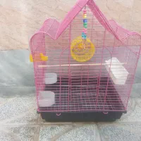 قفس بزرگ پرنده