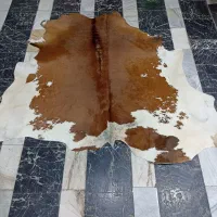 پوست گاوی|صنایع دستی و سایر لوازم تزئینی|میانه, |دیوار