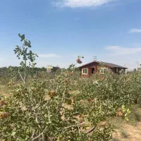 فروش باغ و باغچه* دارای سند تک برگ *