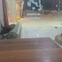 کارگر ساده برا قالیشویی