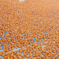 فروش الو طبیعی و تیزابی|خوردنی و آشامیدنی|یزد, |دیوار