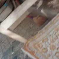 ۵تا جوجه طاقچه رسمی