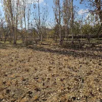زمین کشاورزی  برای باغ و ویلا ۱۳۰۰متر بلوار مادر