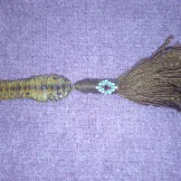 تسبیح عطیقه هسته خرما|کلکسیون اشیاء عتیقه|بندر گز, |دیوار