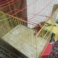 قفس رنگی بزرگ پرنده