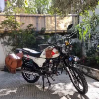 همتاز شکاری ۲۰۰ اسب زین شده