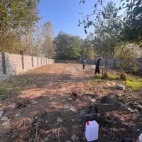 زمین در سیاهکل