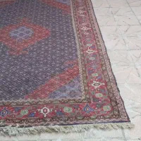 فرش دستبافت ۶ متری|فرش|اردبیل, |دیوار