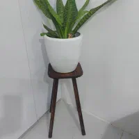 ۲ عدد پایه چوبی