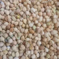 حبوبات.|خوردنی و آشامیدنی|قیدار, |دیوار