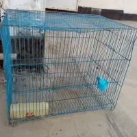 قفس پرنده