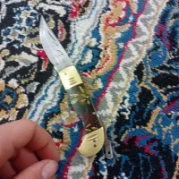 بندر ماهشهر