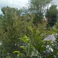 واحدویلایی خدماتی 420متر3طبقه برخیابان معلم|اجارهٔ دفتر کار، اتاق اداری، مطب|اردبیل, |دیوار