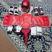 محافظ بدن (رشته ی تکواندو)