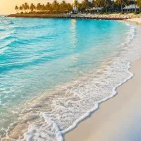 تور کیش