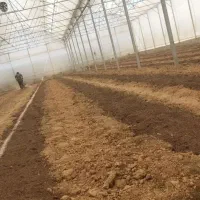 تیلر زنی و شخم زمین با نازلترین قیمت