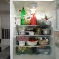 یخچال فریزر  یک قلو|یخچال و فریزر|سبزوار, قلعهنو دهزار|دیوار