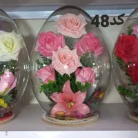 بدلیجات وشفاف