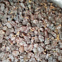 کشمش اورگانیک|خوردنی و آشامیدنی|تهران, مهرآباد جنوبی|دیوار