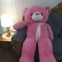 خرس وارداتی تنها دو عدد مونده