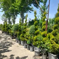 مجتمع گل و گیاه و نهالستان خیری