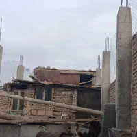 فروش دامداری