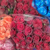 دسته گل و باکس|گل و گیاه طبیعی|شیراز, کاراندیش|دیوار