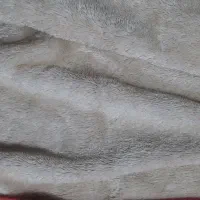 کاپشن|کفش و لباس بچه|اسفراین, |دیوار