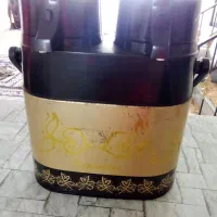 فلاکس دوقلو