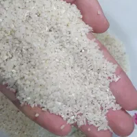 برنج سرلاشه(نیم دانه)دره رود