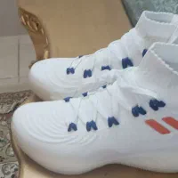 کتونی بسکتبال