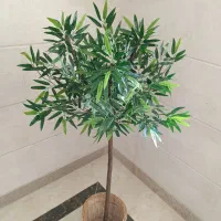 سازنده درختچه مصنوعی گل فیکوس آمستل درخت جاودان|گل مصنوعی|تهران, افسریه شمالی|دیوار