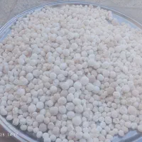 کشک نقلی|خوردنی و آشامیدنی|کوهنانی, |دیوار