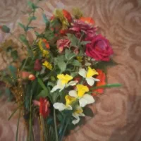 گلهای خارجی وقشنگ