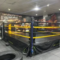 آموزش تخصصی بوکس