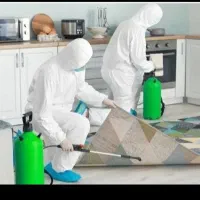 سم پاشی کل حشرات. موریانه. سوسک وساس وکنه وکک