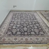 یک تخته فرش ۱۲متری