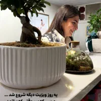 استخدام ماسور خانم با با تخصص و مجوز ماساژ بارداری