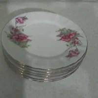 ظروف پذیرایی