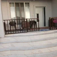 اجاره برای روزانه و ساعتی و جشن تولد ها|اجارهٔ کوتاهمدت ویلا و باغ|خشکبیجار, |دیوار