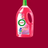 پاک کننده ثانیه ای