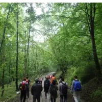 طبیعت مسافرت ودورهمی