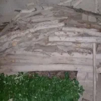 چوب فروشی|لوازم جانبی حیوانات|جیرفت, |دیوار