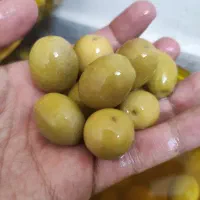 محصولات طبیعی و سنتی|خوردنی و آشامیدنی|تهران, ترمینال جنوب|دیوار