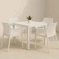 صندلی پلاستیکی مناسب مجالس مکانهای عمومی